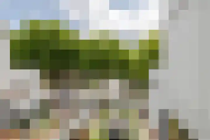 Doenradestraat 44 D19 Breda thumbnail 21