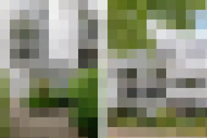 Doenradestraat 44 D19 Breda thumbnail 24