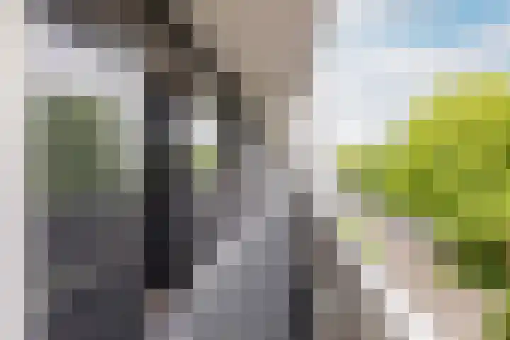 Doenradestraat 44 D19 Breda thumbnail 25