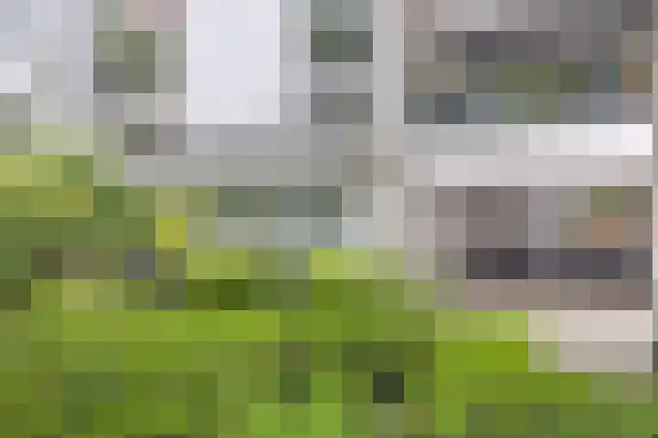 Doenradestraat 44 D23 Breda thumbnail 11