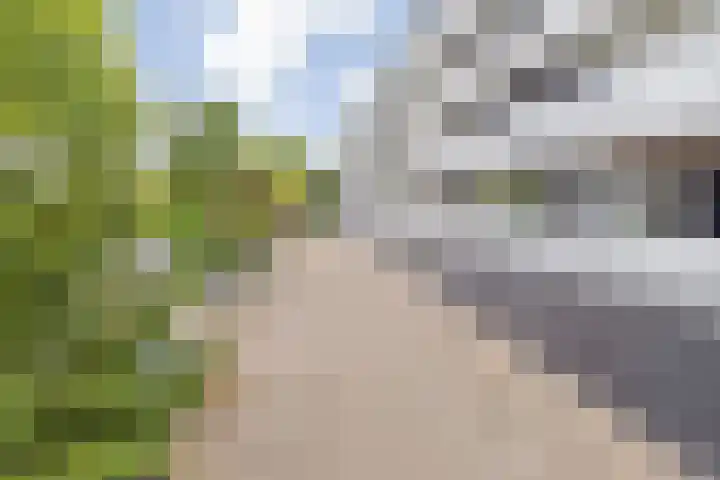 Doenradestraat 44 D23 Breda thumbnail 12