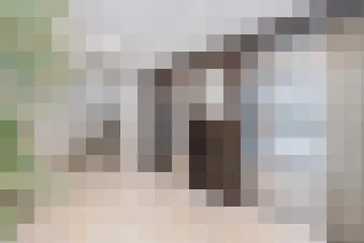 Doenradestraat 44 D23 Breda thumbnail 15