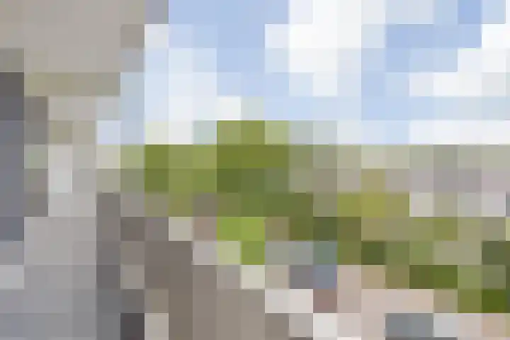 Doenradestraat 44 D23 Breda thumbnail 16