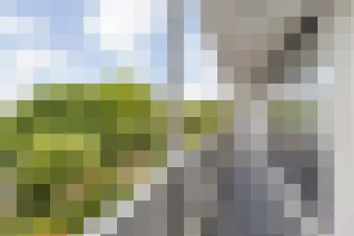 Doenradestraat 44 D23 Breda thumbnail 17