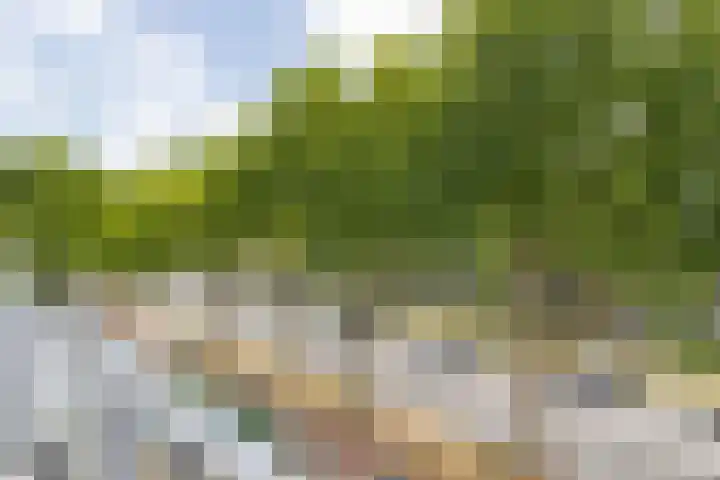 Doenradestraat 44 D23 Breda thumbnail 49