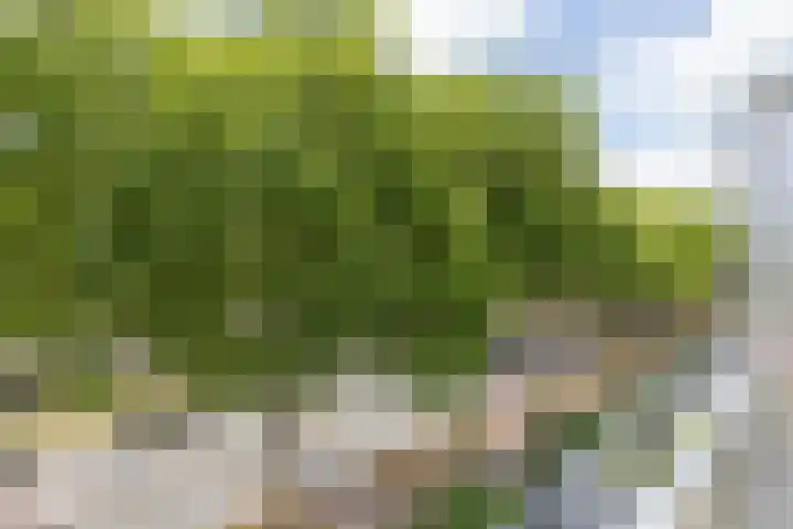 Doenradestraat 44 D23 Breda thumbnail 50