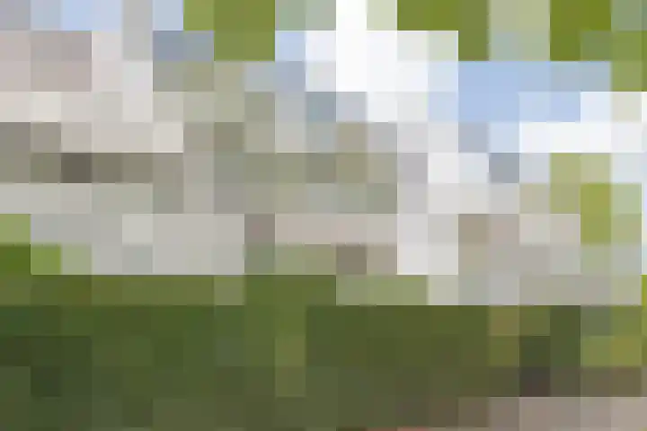 Doenradestraat 44 D23 Breda thumbnail 8
