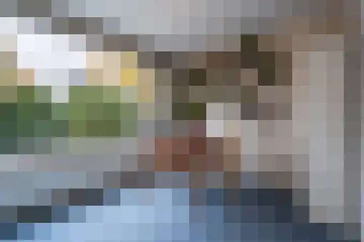 Doenradestraat 83 Breda thumbnail 15