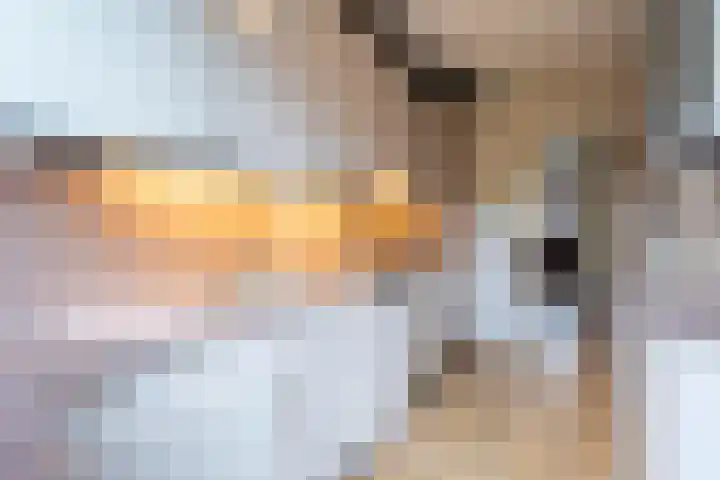 Doenradestraat 83 Breda thumbnail 8