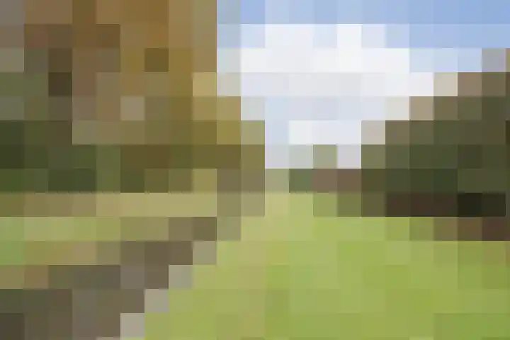 Doenssenstraat 12 America thumbnail 37