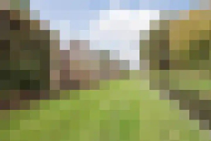 Doenssenstraat 12 America thumbnail 38