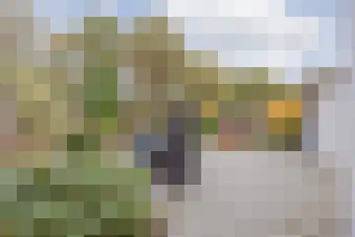 Doenssenstraat 12 America thumbnail 41