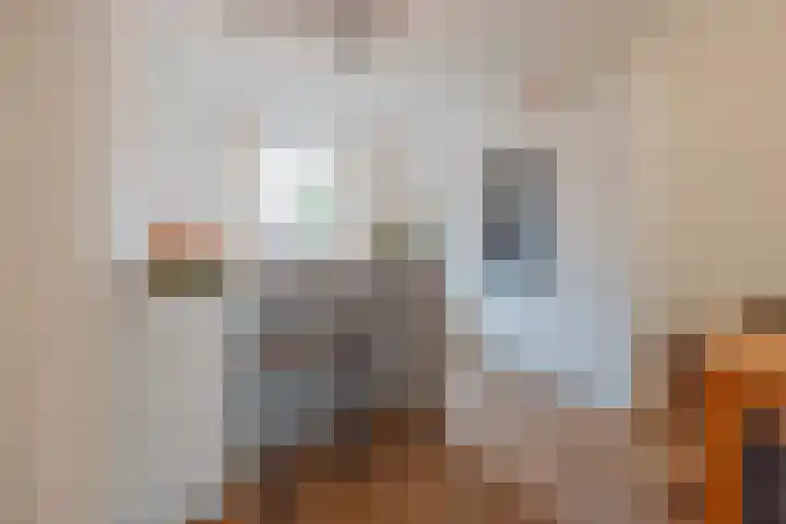 Doenssenstraat 12 America thumbnail 5