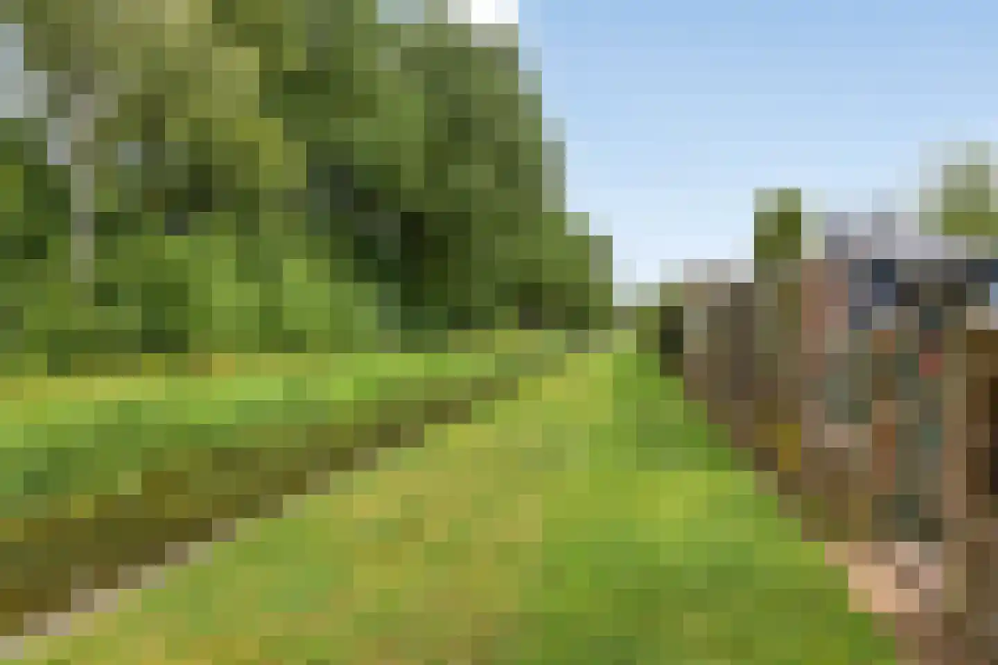 Doenssenstraat 16 America thumbnail 22