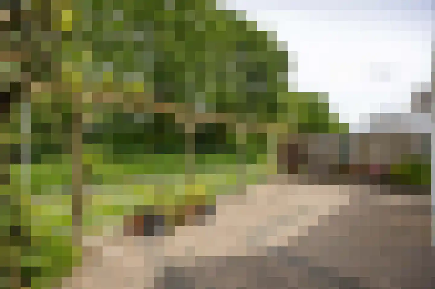 Doenssenstraat 24 America thumbnail 33