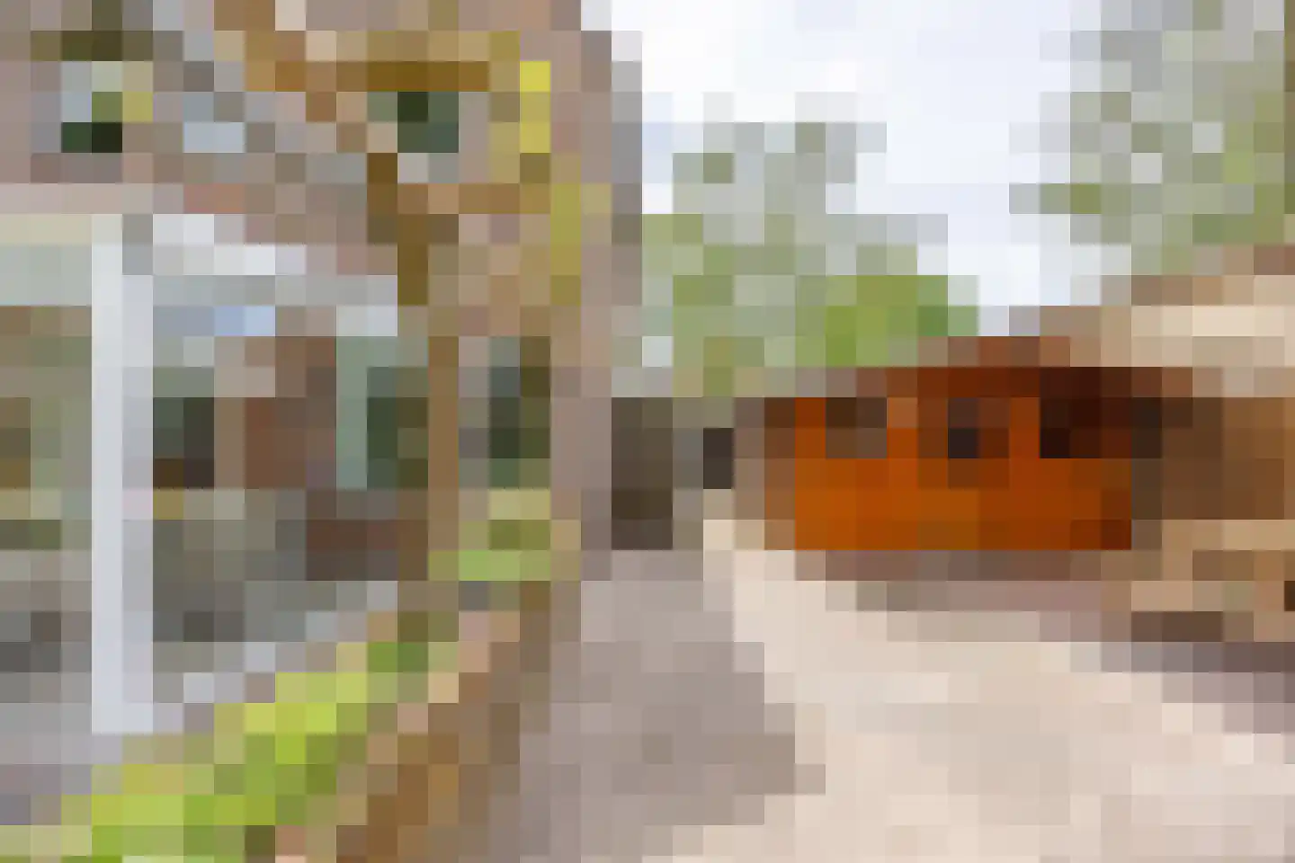 Doenssenstraat 24 America thumbnail 35