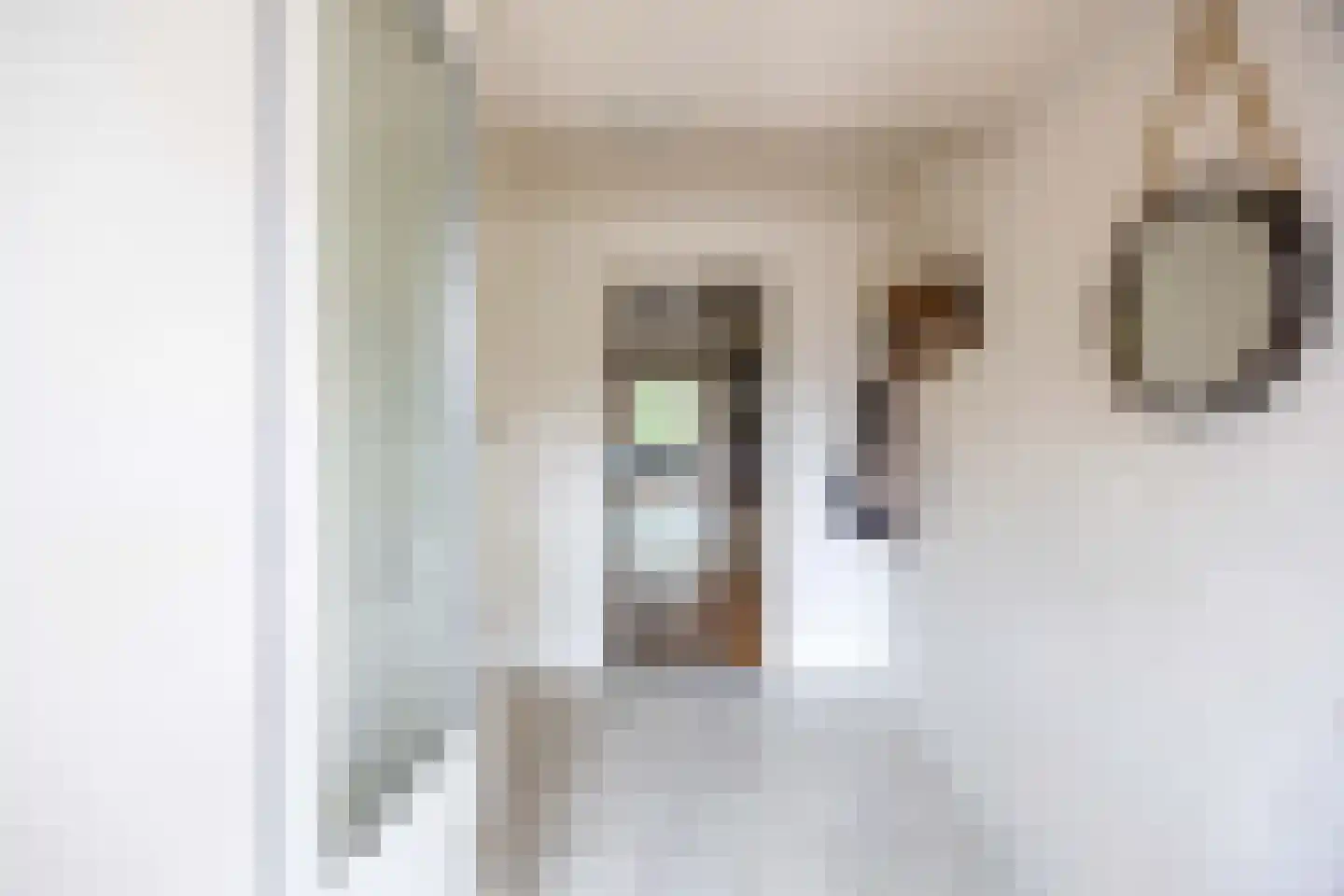 Doenssenstraat 24 America thumbnail 6
