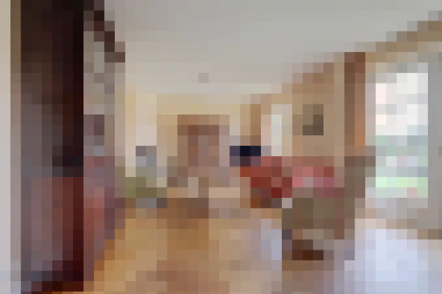 Doerebout 10 Koudum thumbnail 15