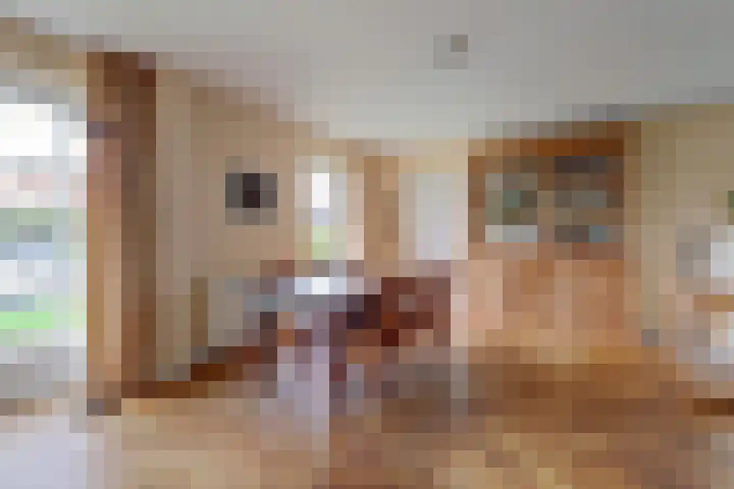 Doerebout 10 Koudum thumbnail 17