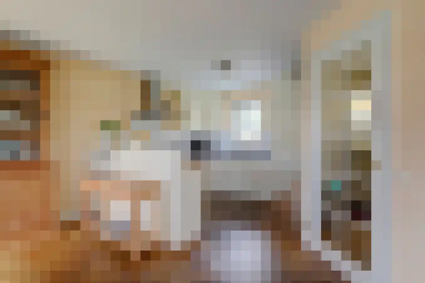 Doerebout 10 Koudum thumbnail 18