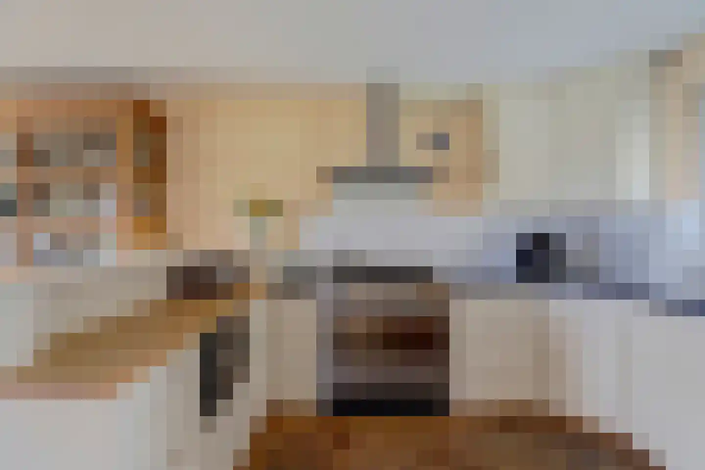 Doerebout 10 Koudum thumbnail 19