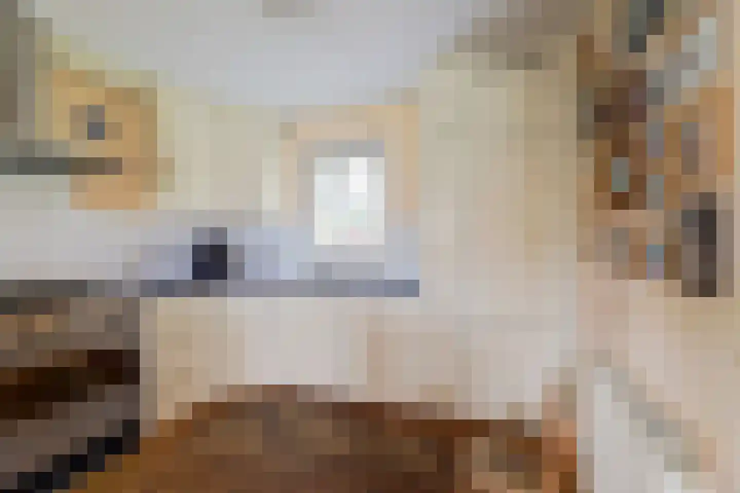 Doerebout 10 Koudum thumbnail 20
