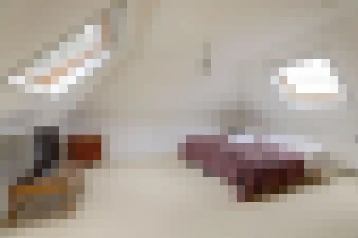 Doerebout 10 Koudum thumbnail 24