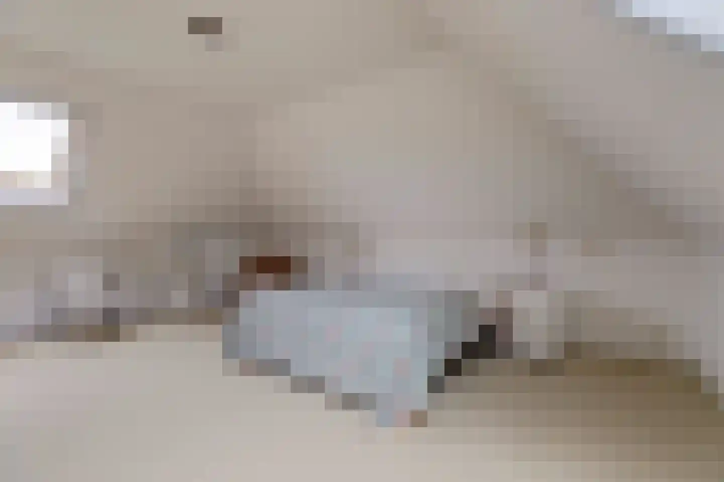 Doerebout 10 Koudum thumbnail 26