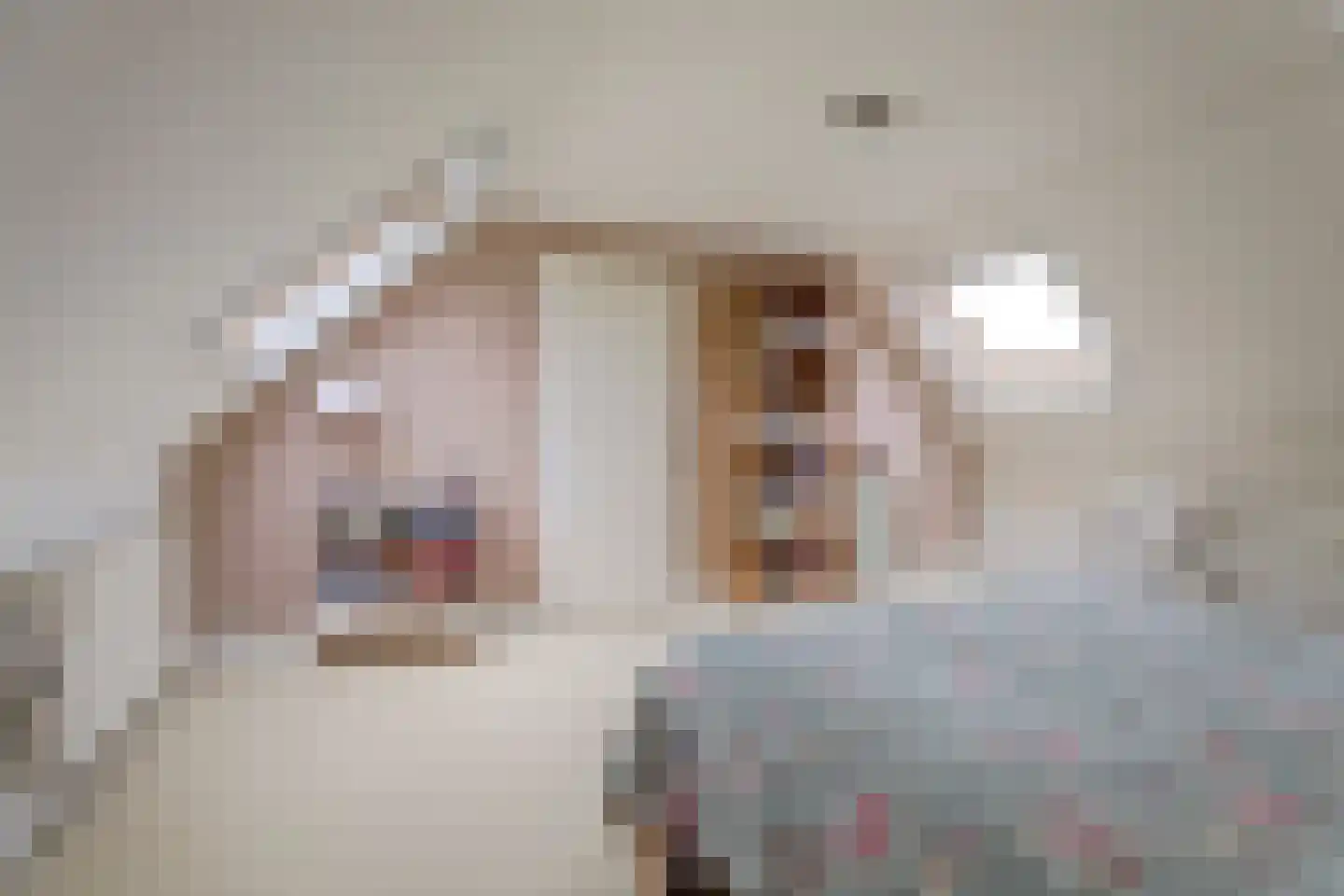 Doerebout 10 Koudum thumbnail 27