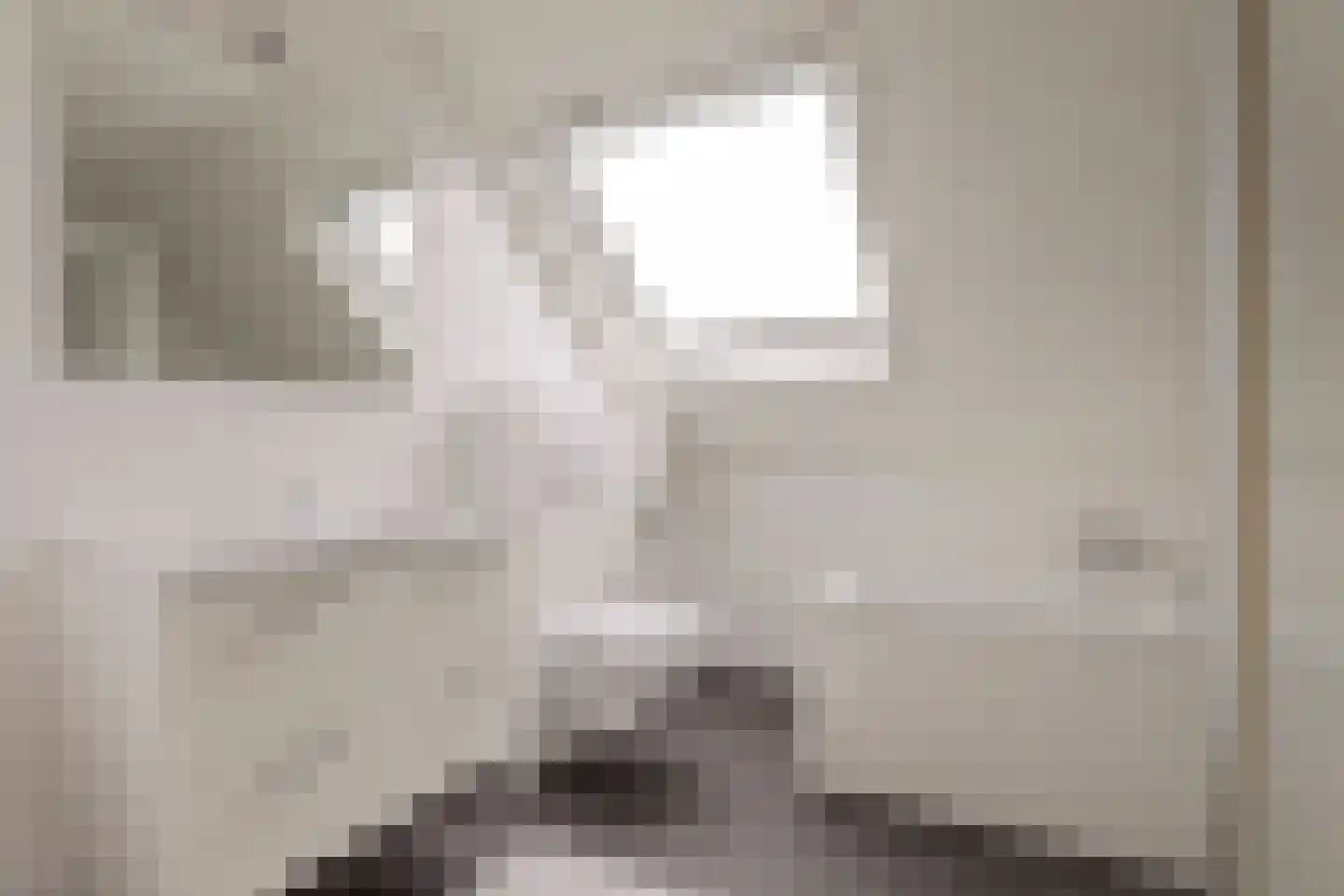 Doerebout 10 Koudum thumbnail 29
