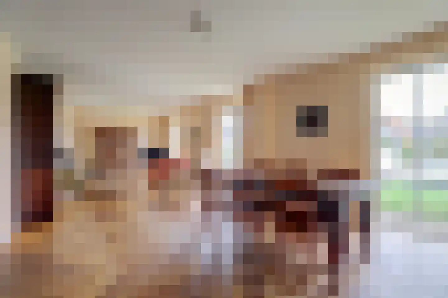 Doerebout 10 Koudum thumbnail 4