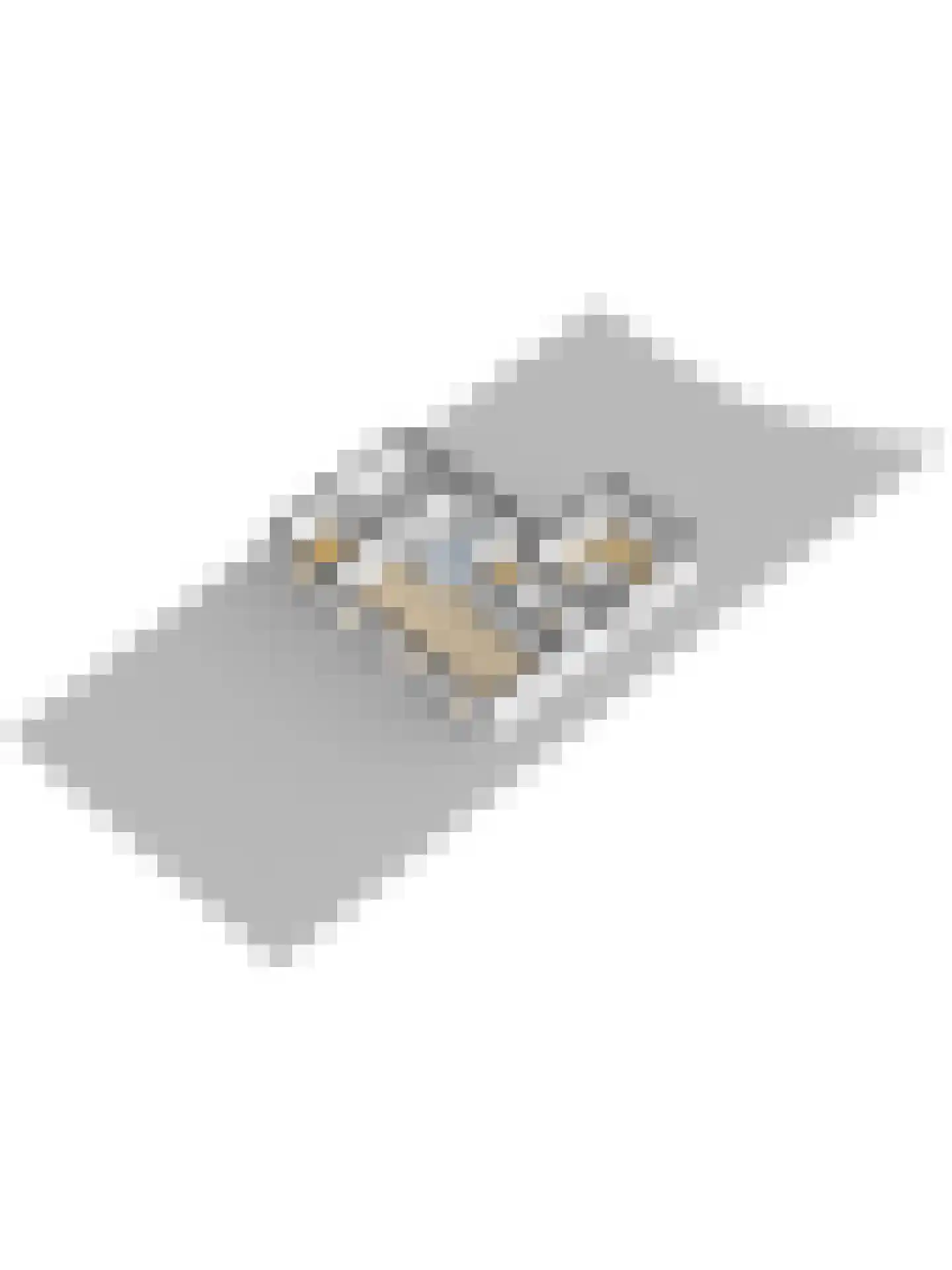 Doerebout 10 Koudum thumbnail 47