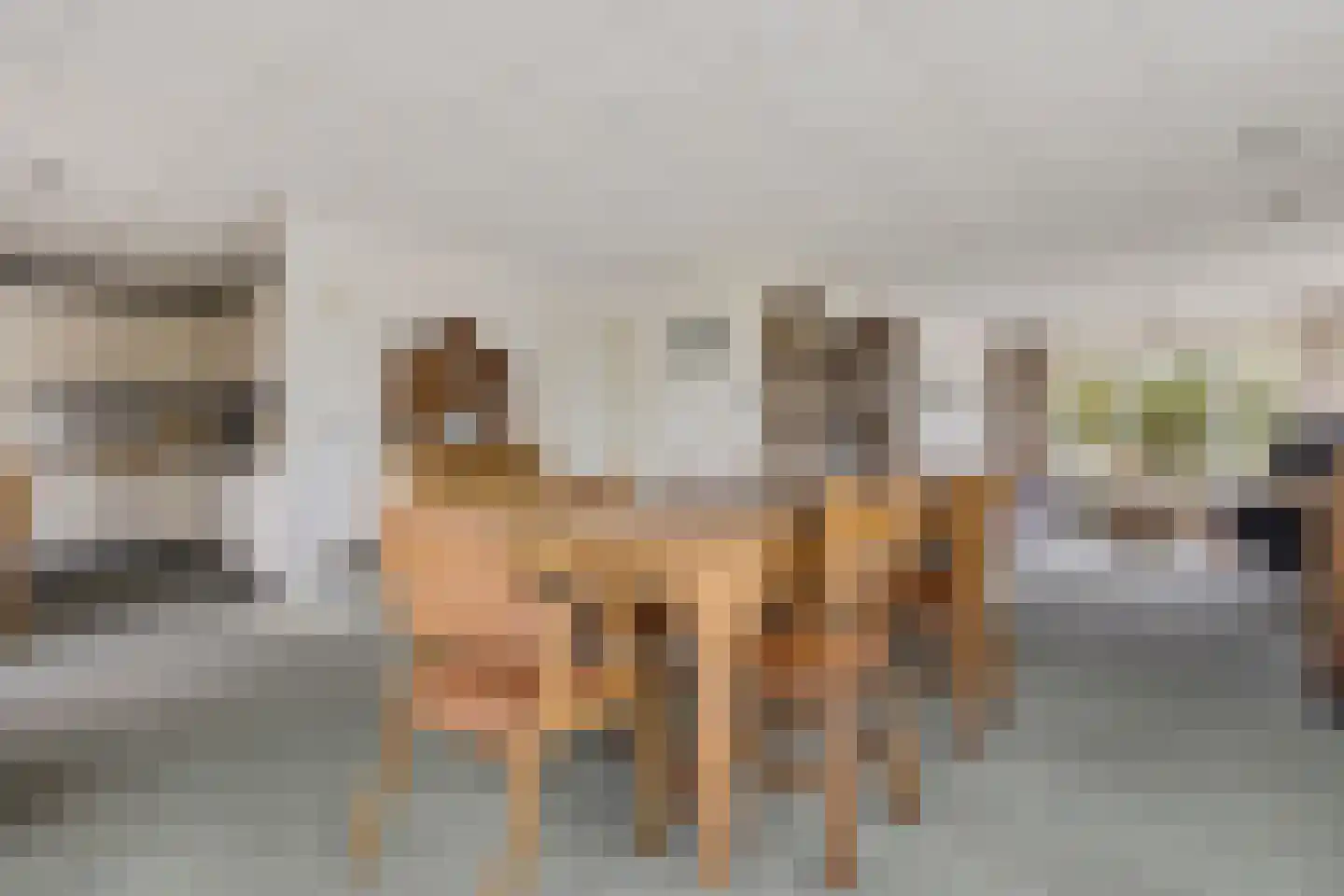 Doerebout 12 Koudum thumbnail 10