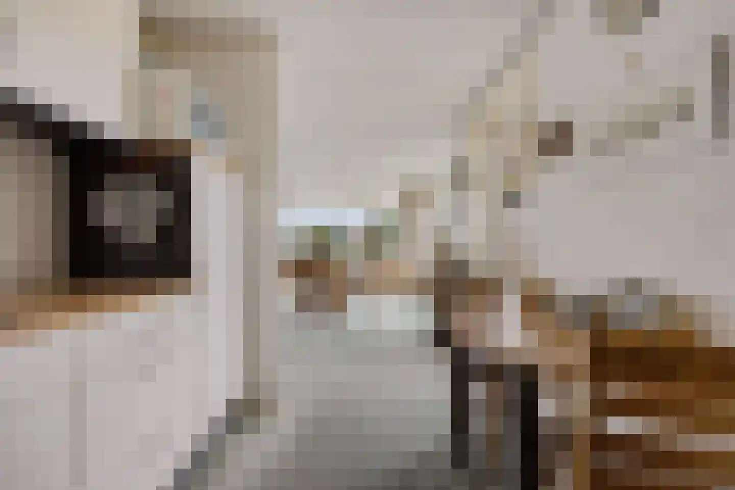 Doerebout 12 Koudum thumbnail 13