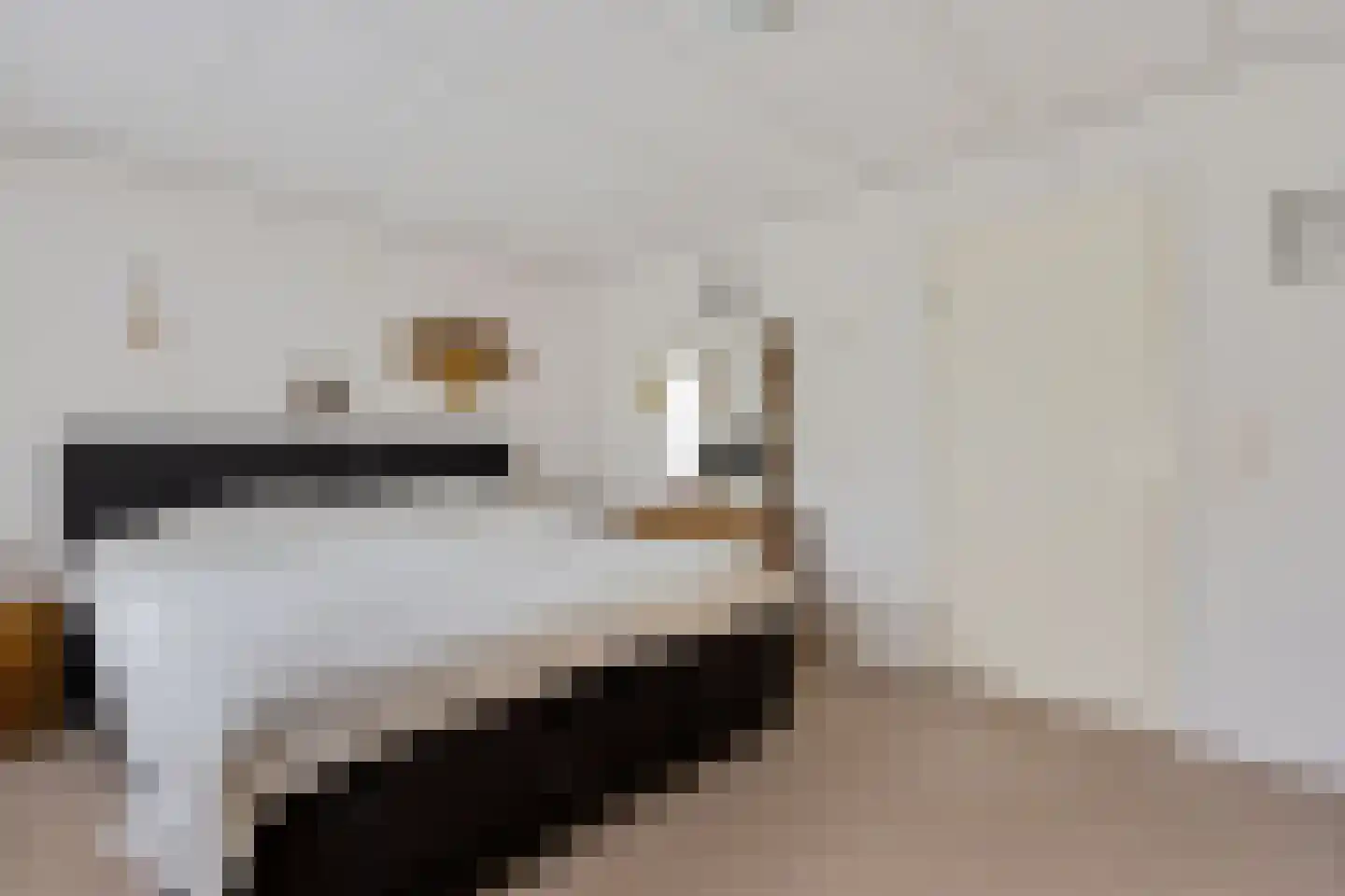 Doerebout 12 Koudum thumbnail 16