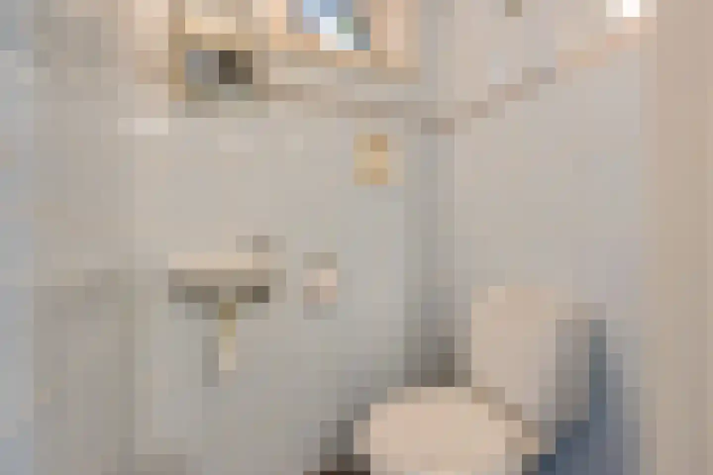Doerebout 12 Koudum thumbnail 19