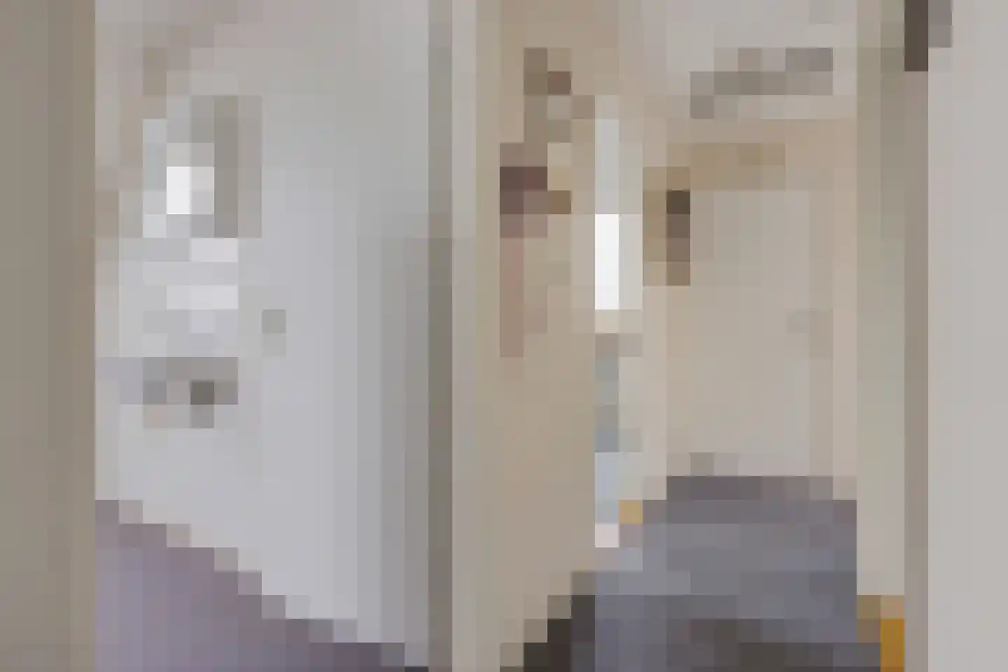 Doerebout 12 Koudum thumbnail 22