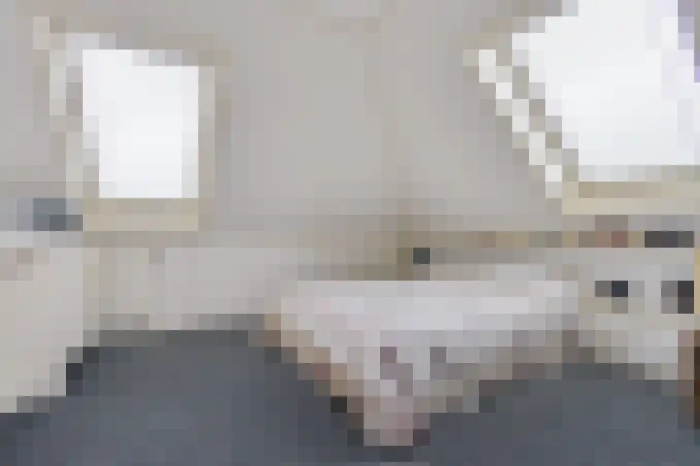 Doerebout 12 Koudum thumbnail 23
