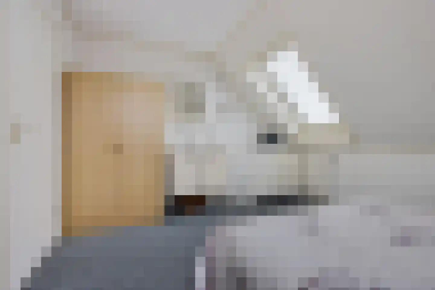 Doerebout 12 Koudum thumbnail 24