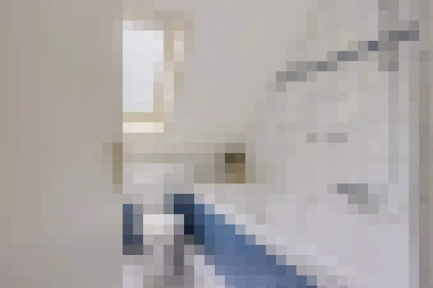 Doerebout 12 Koudum thumbnail 29