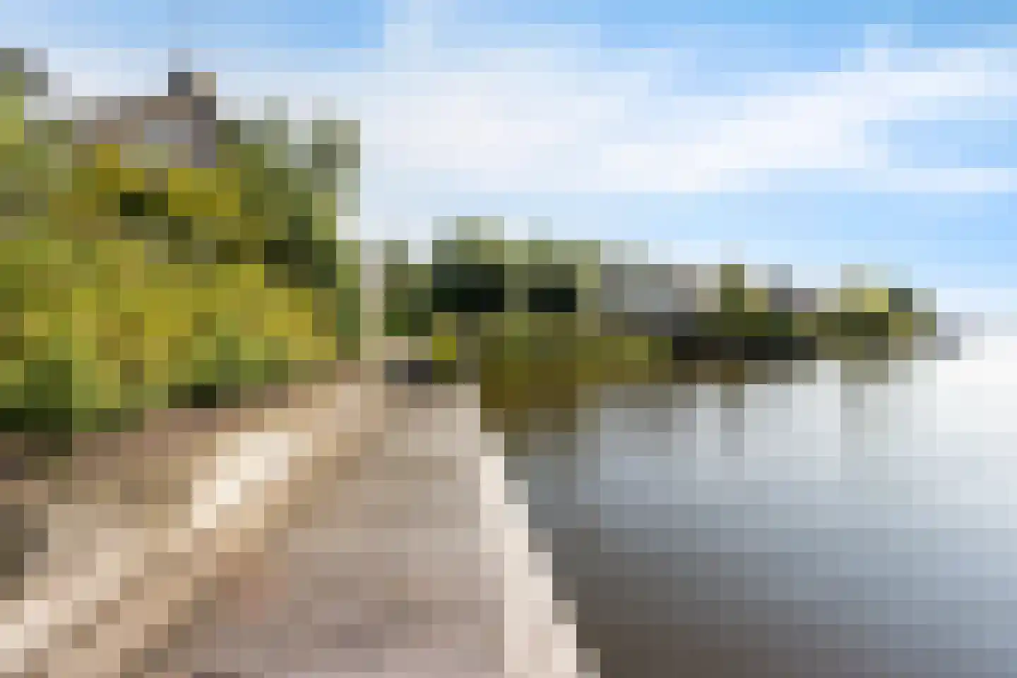 Doerebout 12 Koudum thumbnail 36
