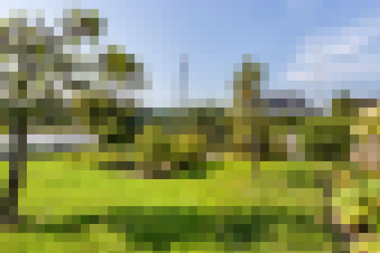 Doerebout 12 Koudum thumbnail 38