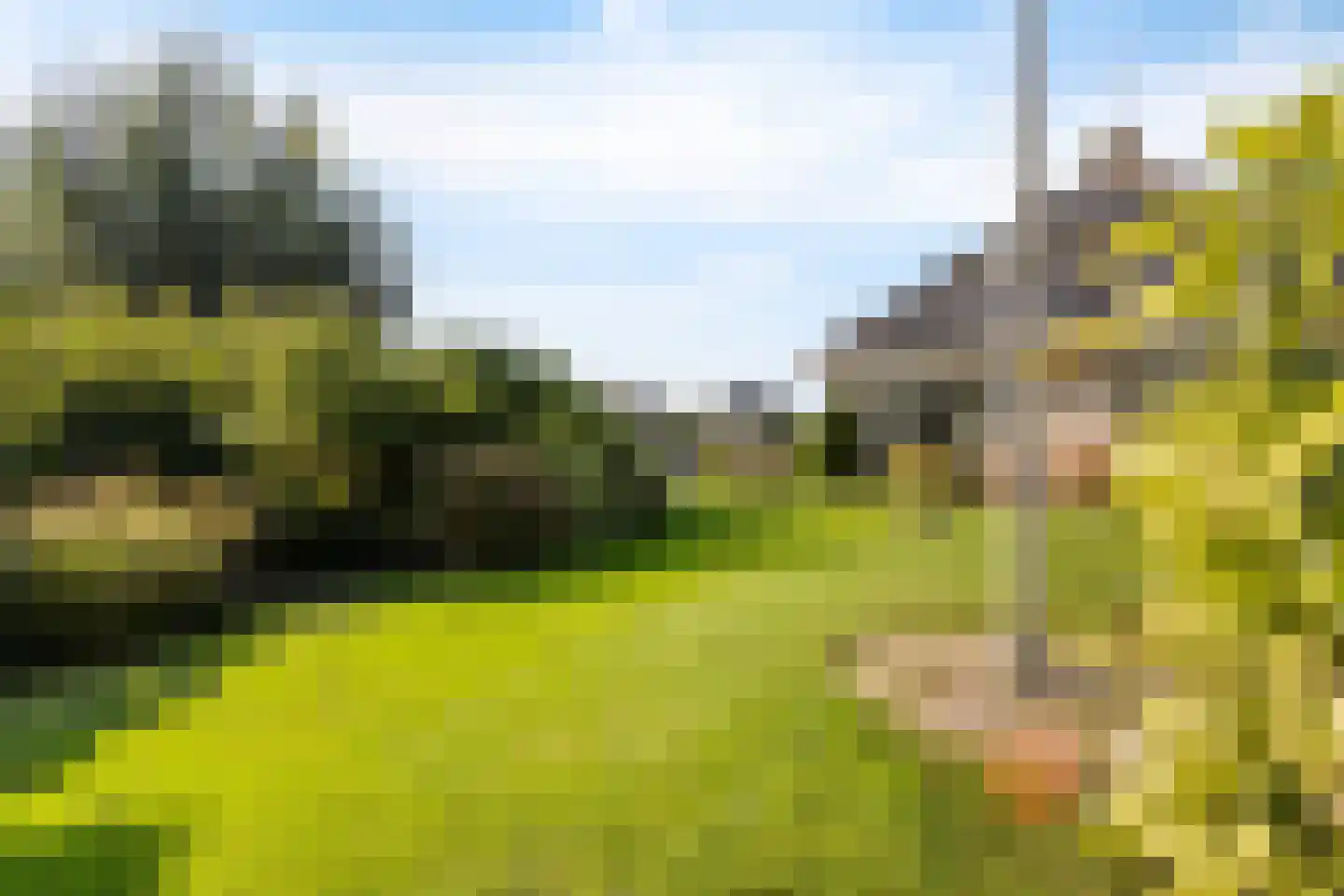 Doerebout 12 Koudum thumbnail 39