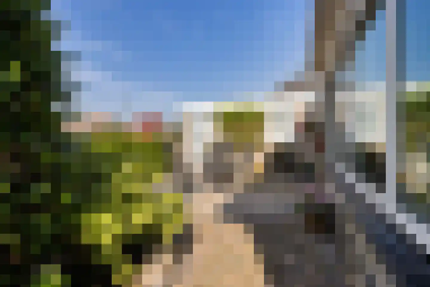 Doerebout 12 Koudum thumbnail 40
