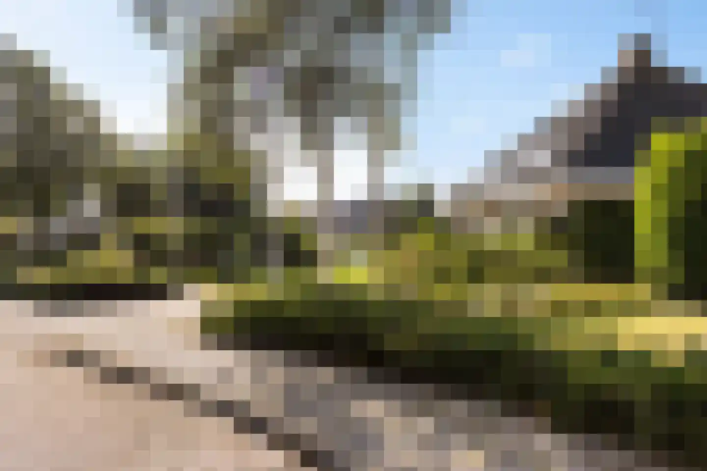 Doerebout 12 Koudum thumbnail 43