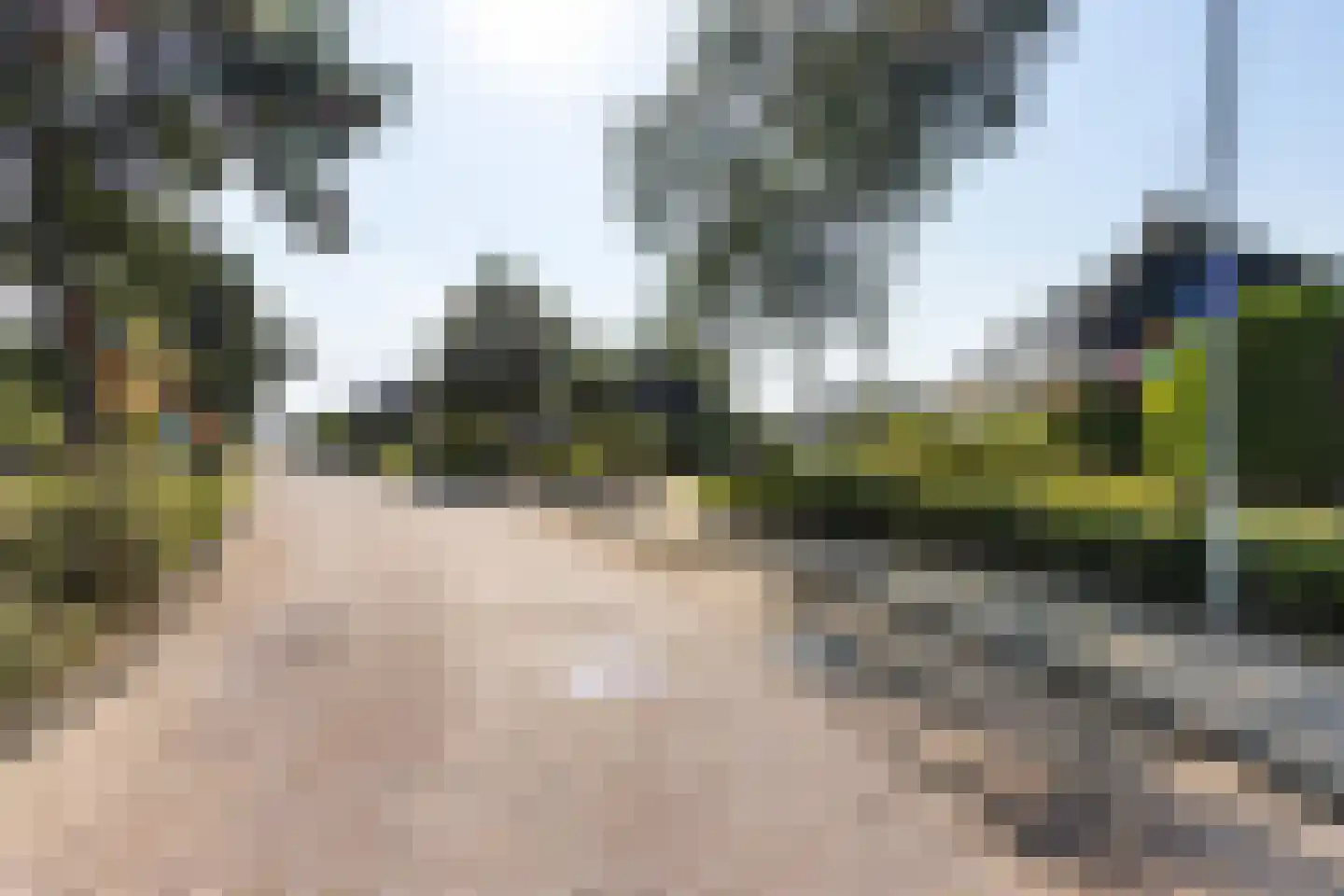Doerebout 12 Koudum thumbnail 45
