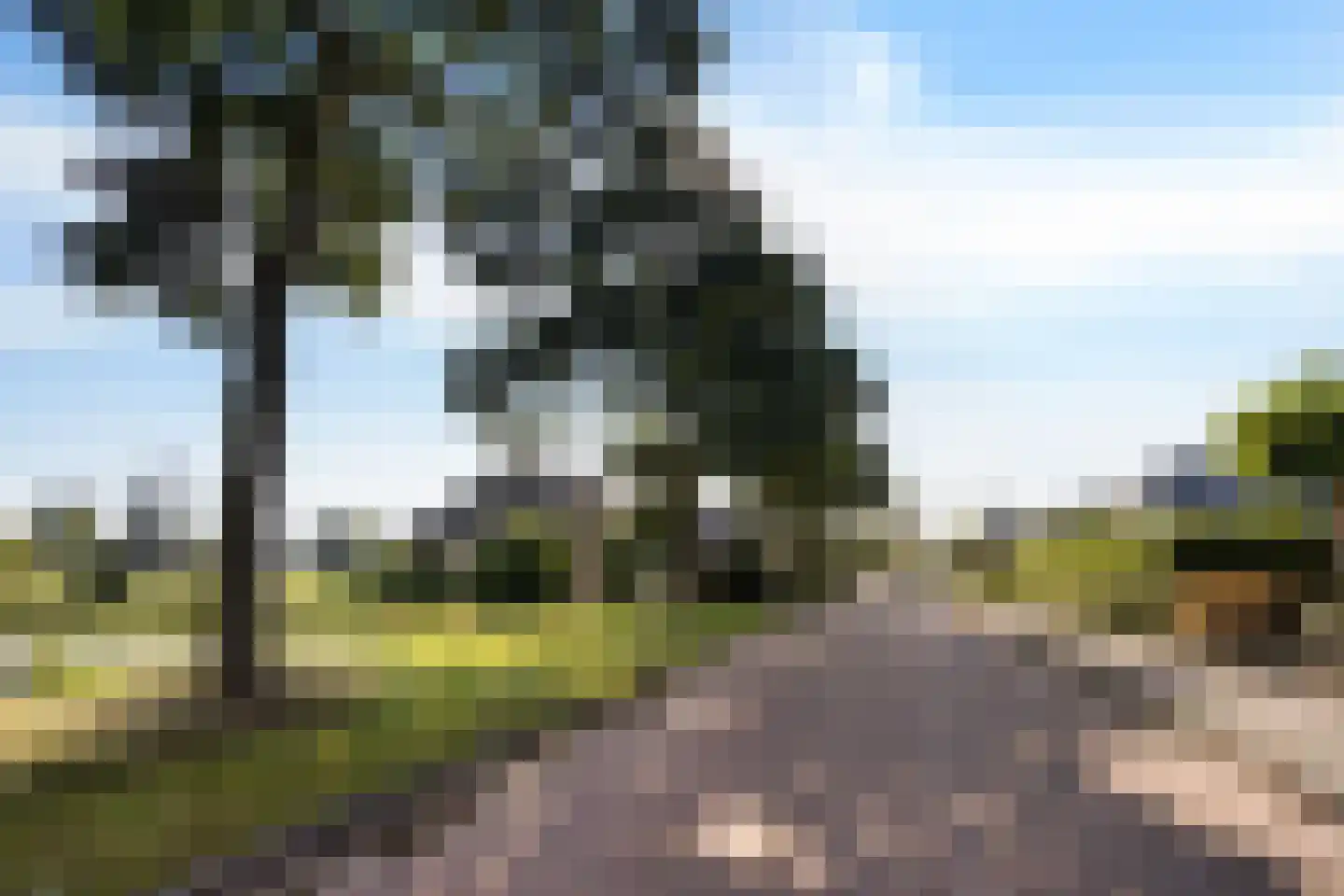 Doerebout 12 Koudum thumbnail 46