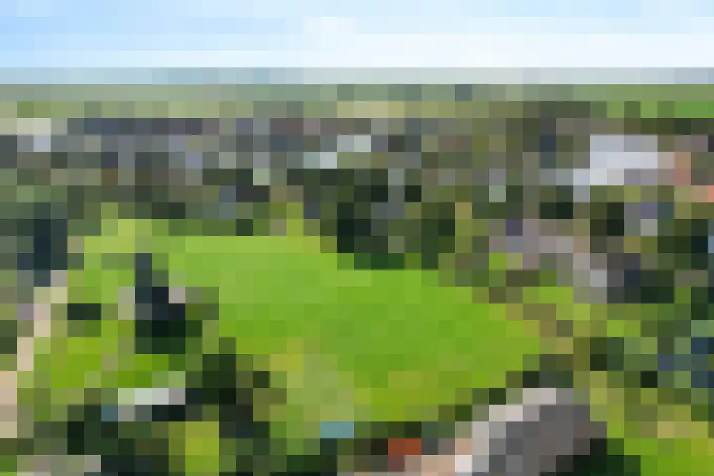 Doerebout 12 Koudum thumbnail 51