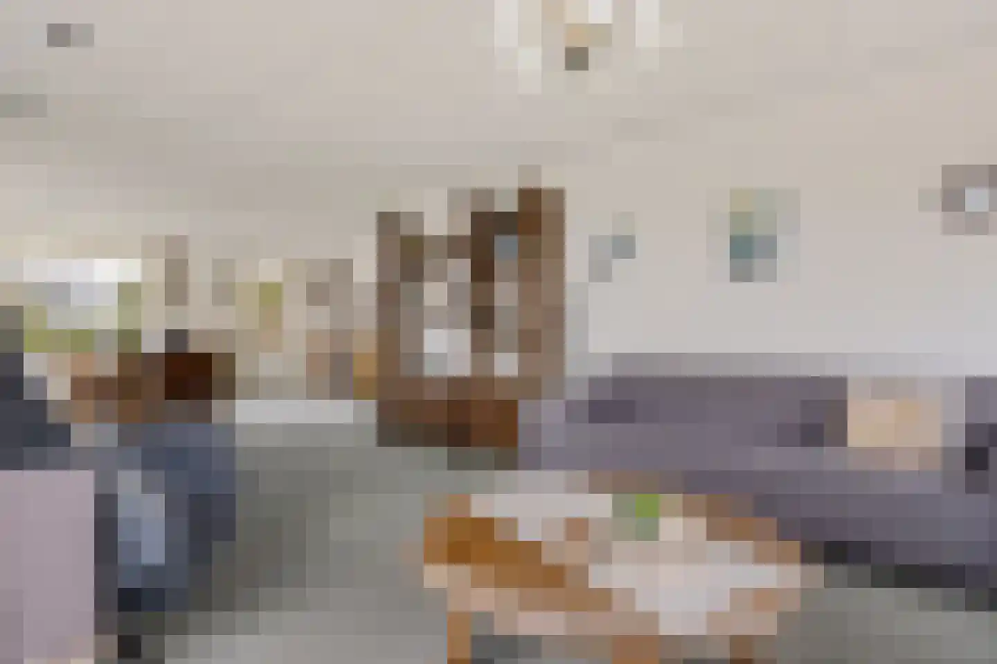 Doerebout 12 Koudum thumbnail 7