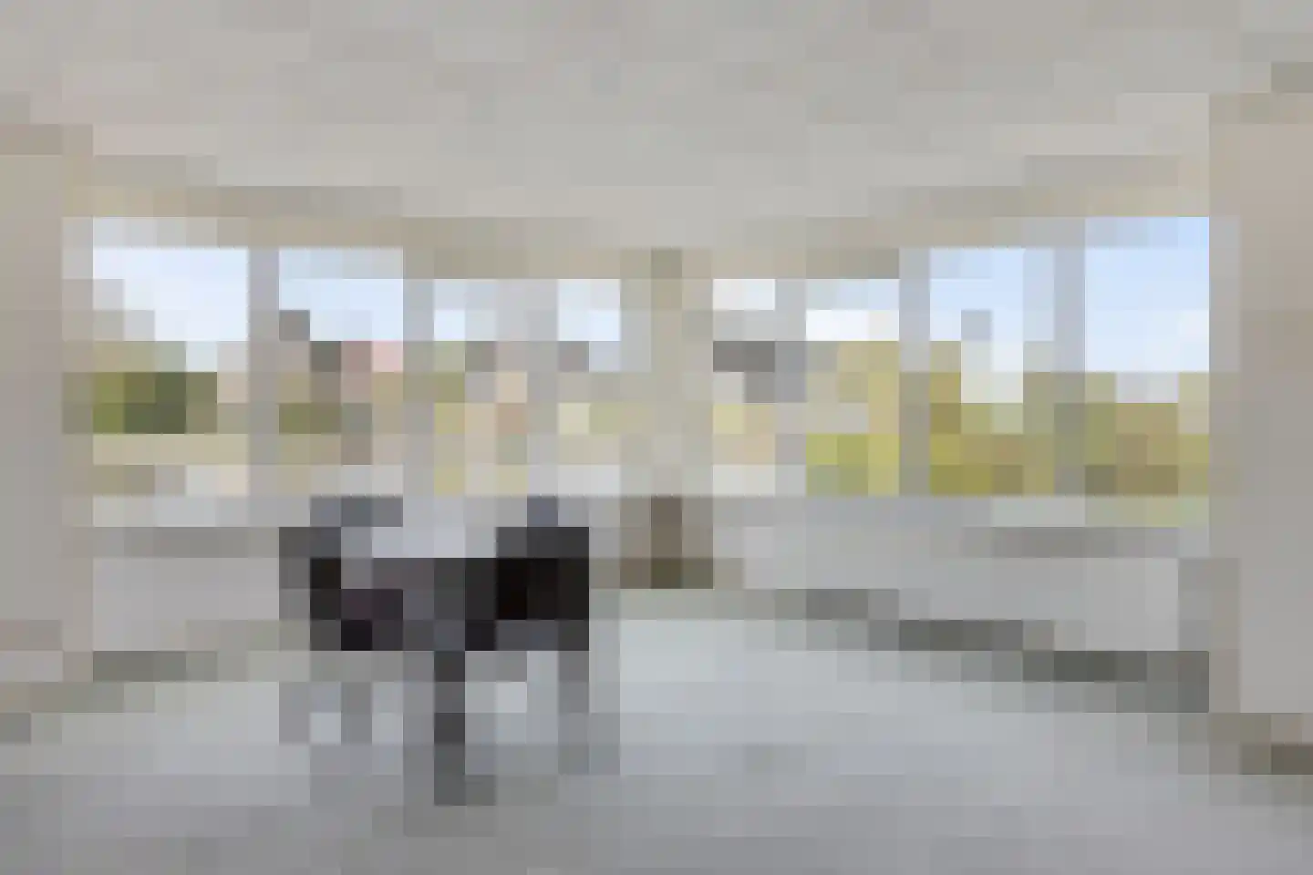 Doerebout 12 Koudum thumbnail 8